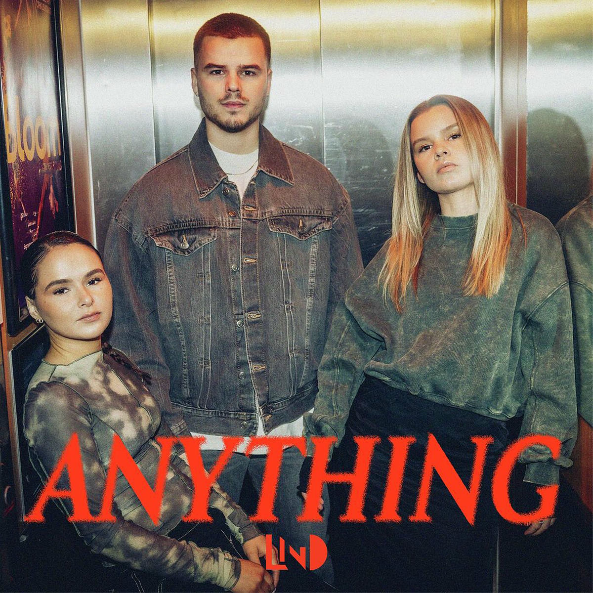 Album cover of Anything