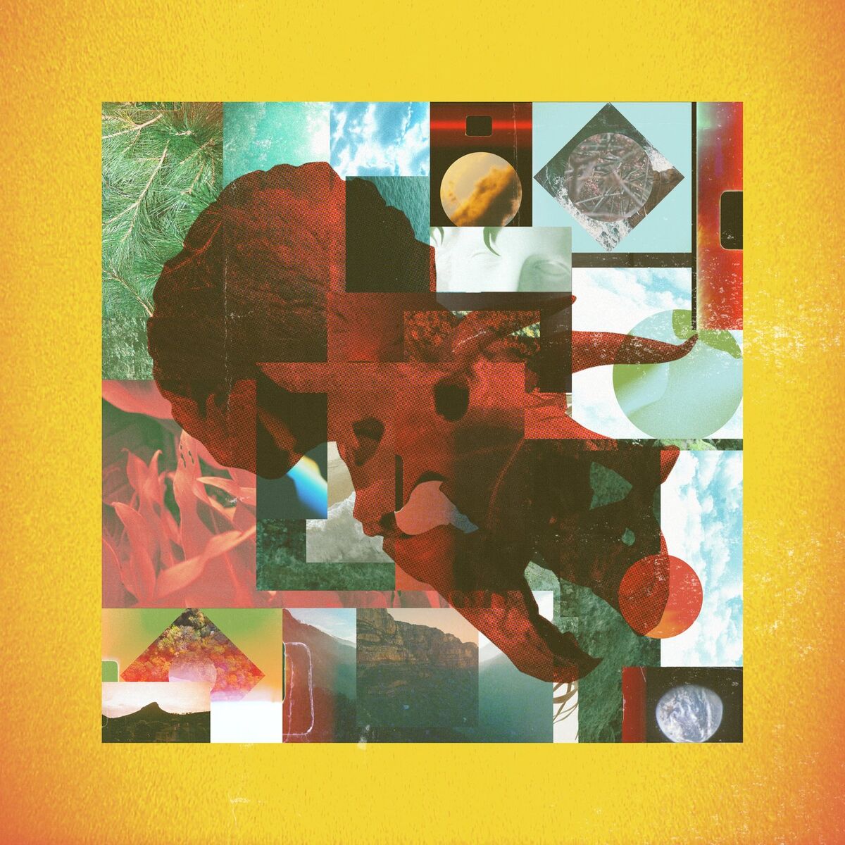 Album cover of Designasaurs