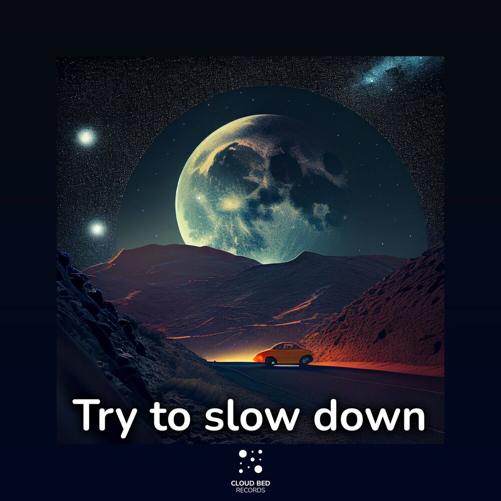 Picture of Try to Slow Down