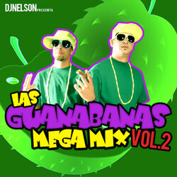 Cover of Las Guanabanas Mega Mix, Vol.2