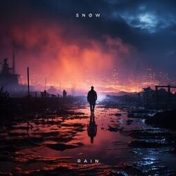 Cover of Rain