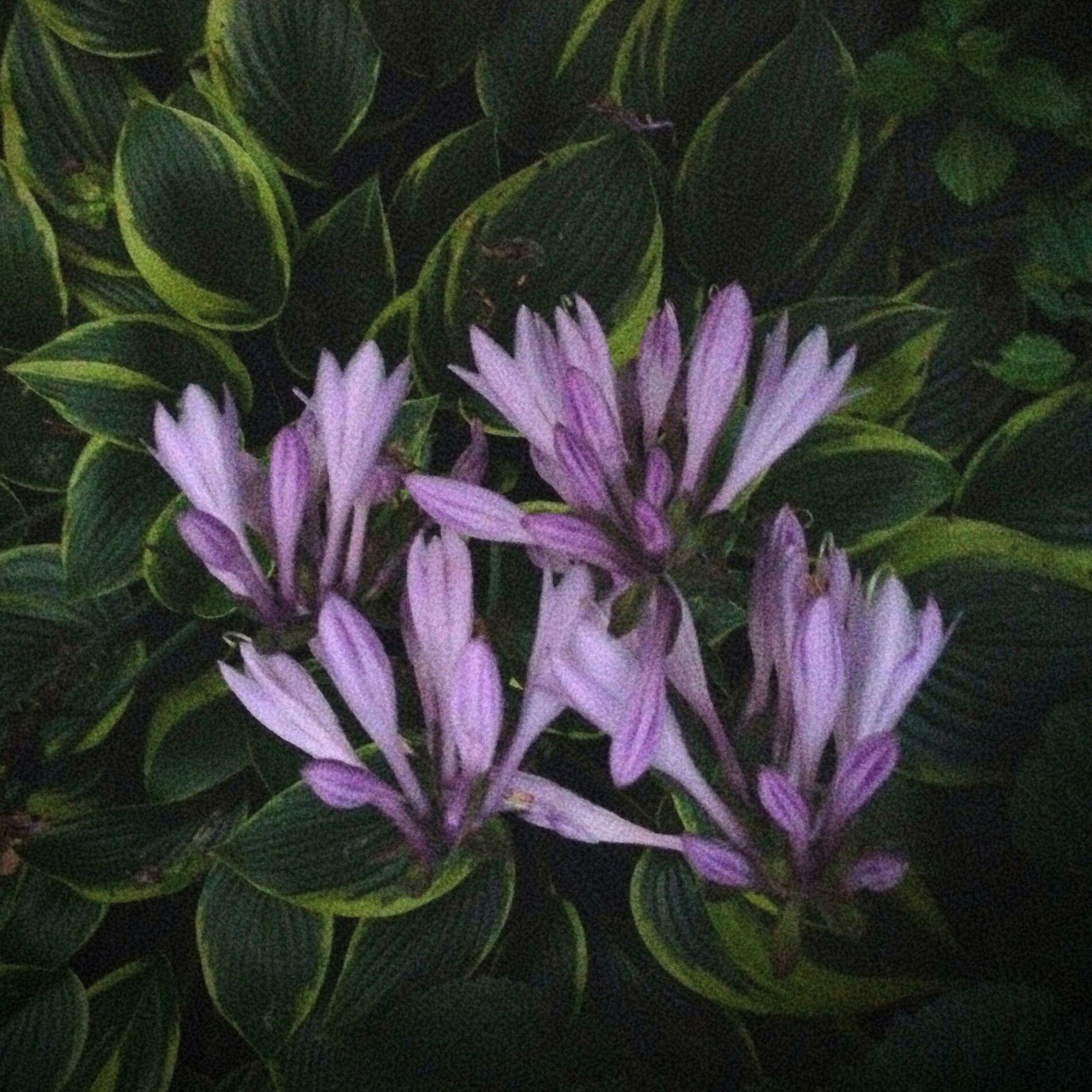 Album cover of All Again