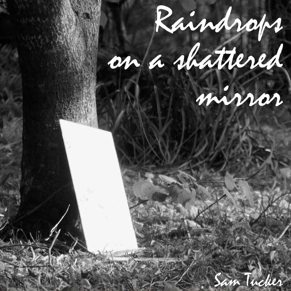 Picture of Raindrops Falling on a Shattered Mirror