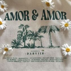 AMOR & AMOR