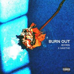 Cover of Burn out