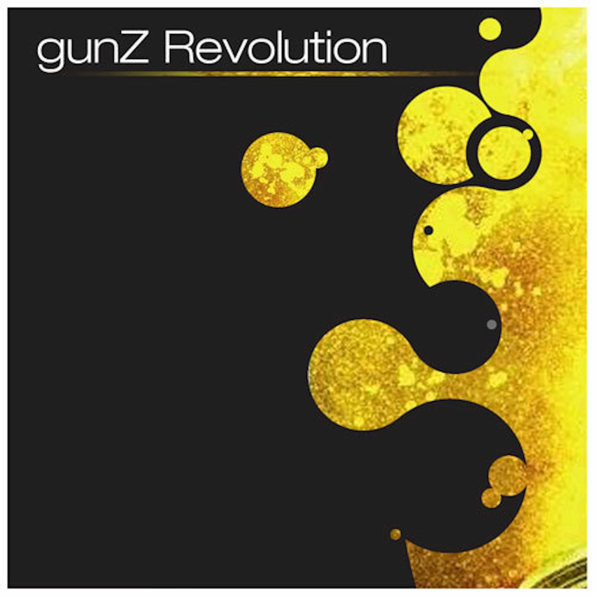 Album cover of Gunz Revolution