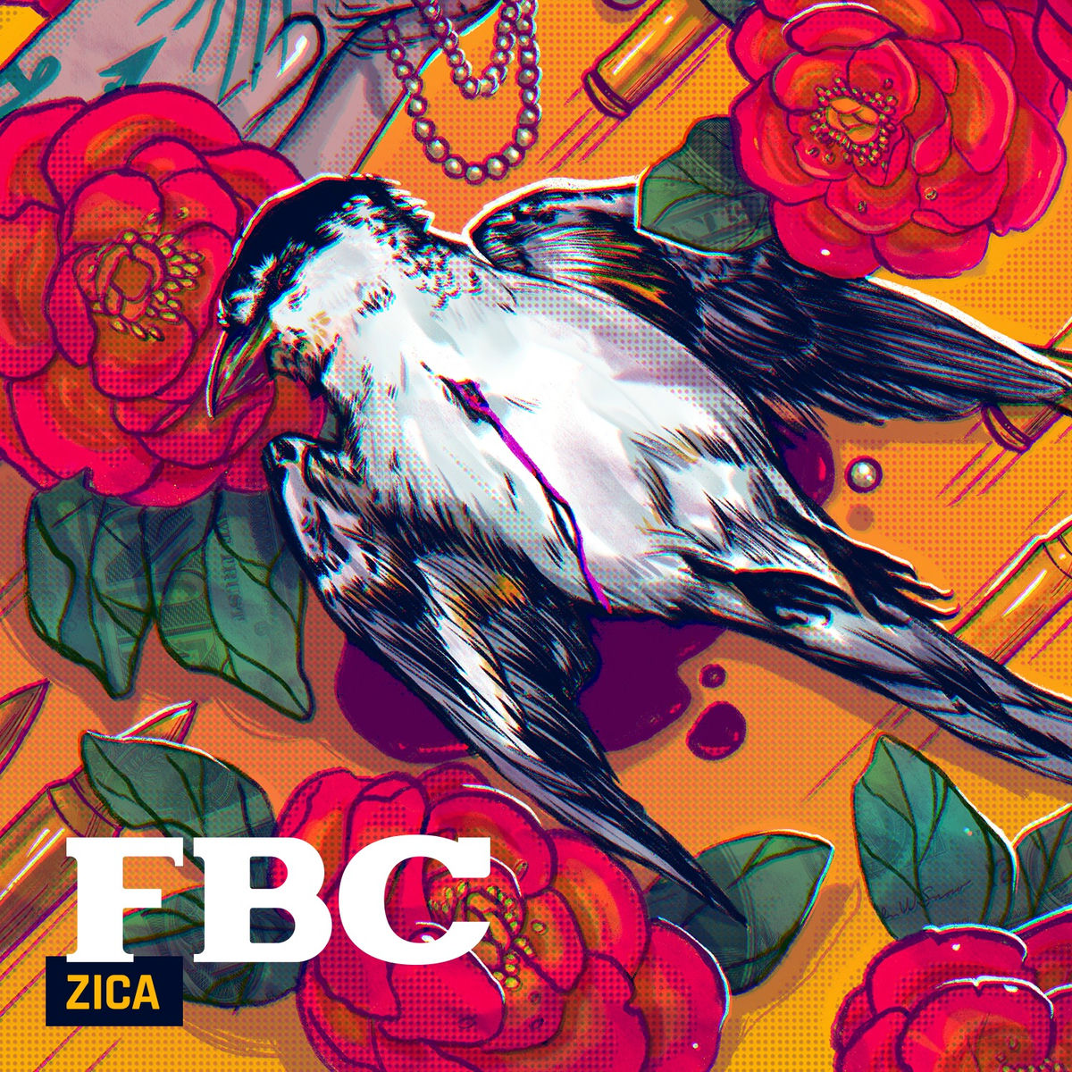Album cover of Zica