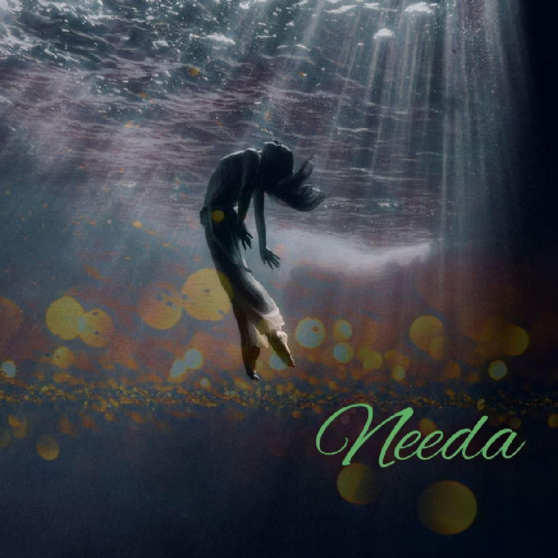 Album cover of Needa
