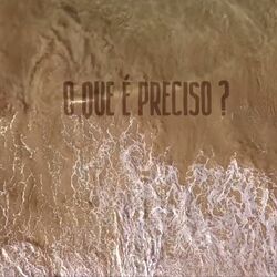 Cover of O Que É Preciso ?