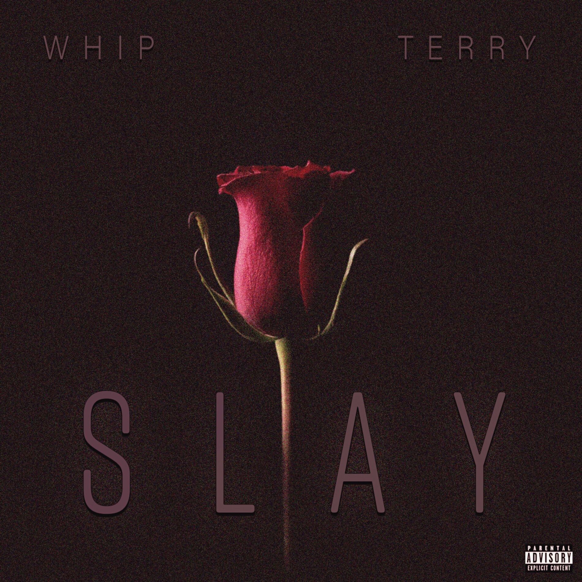 Album cover of Slay