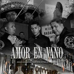 Cover of Amor en Vano
