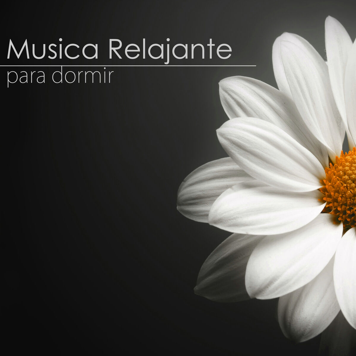 Album cover of Bienestar