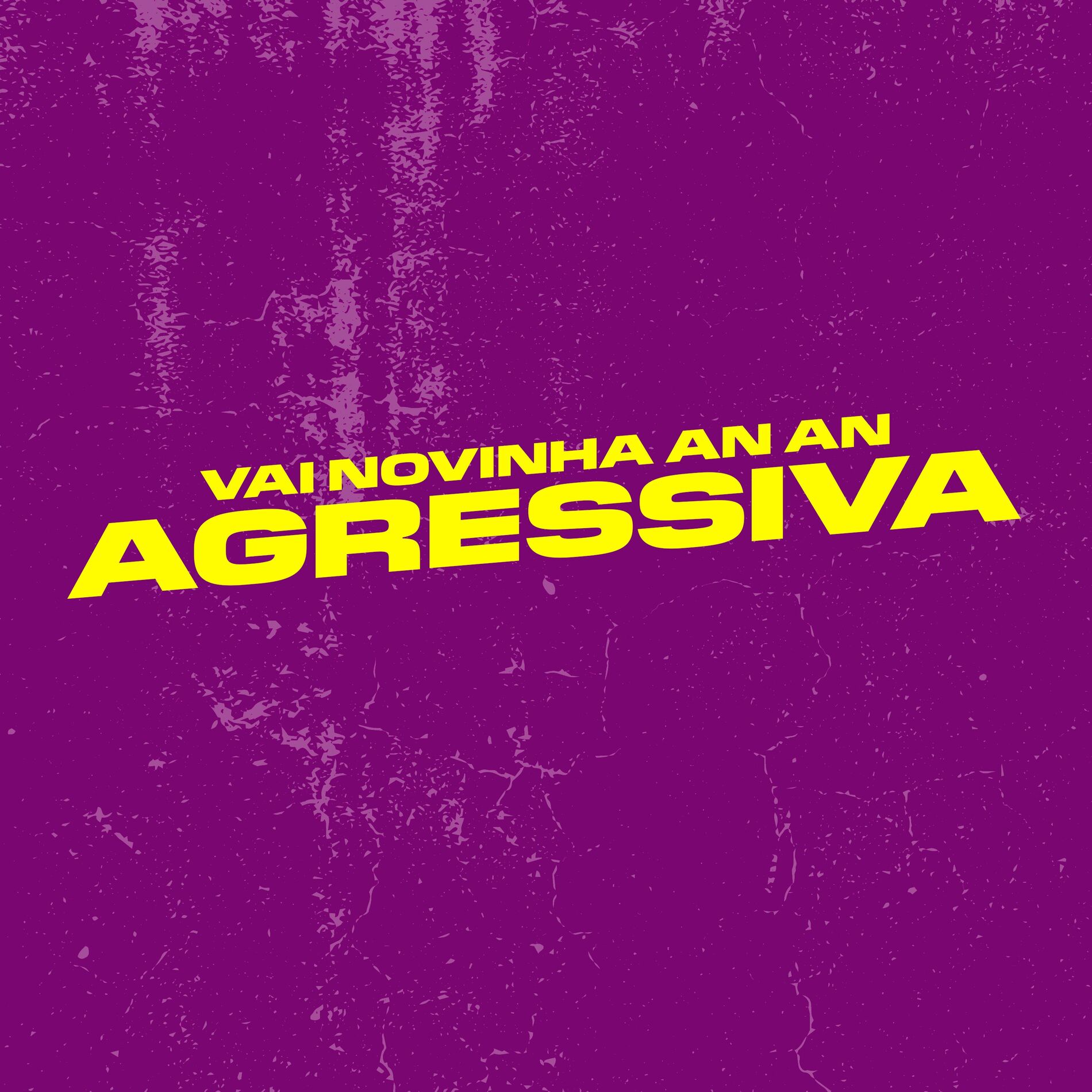 Album cover of VAI NOVINHA AN AN AGRESSIVO