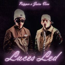 Cover of LUCES LED