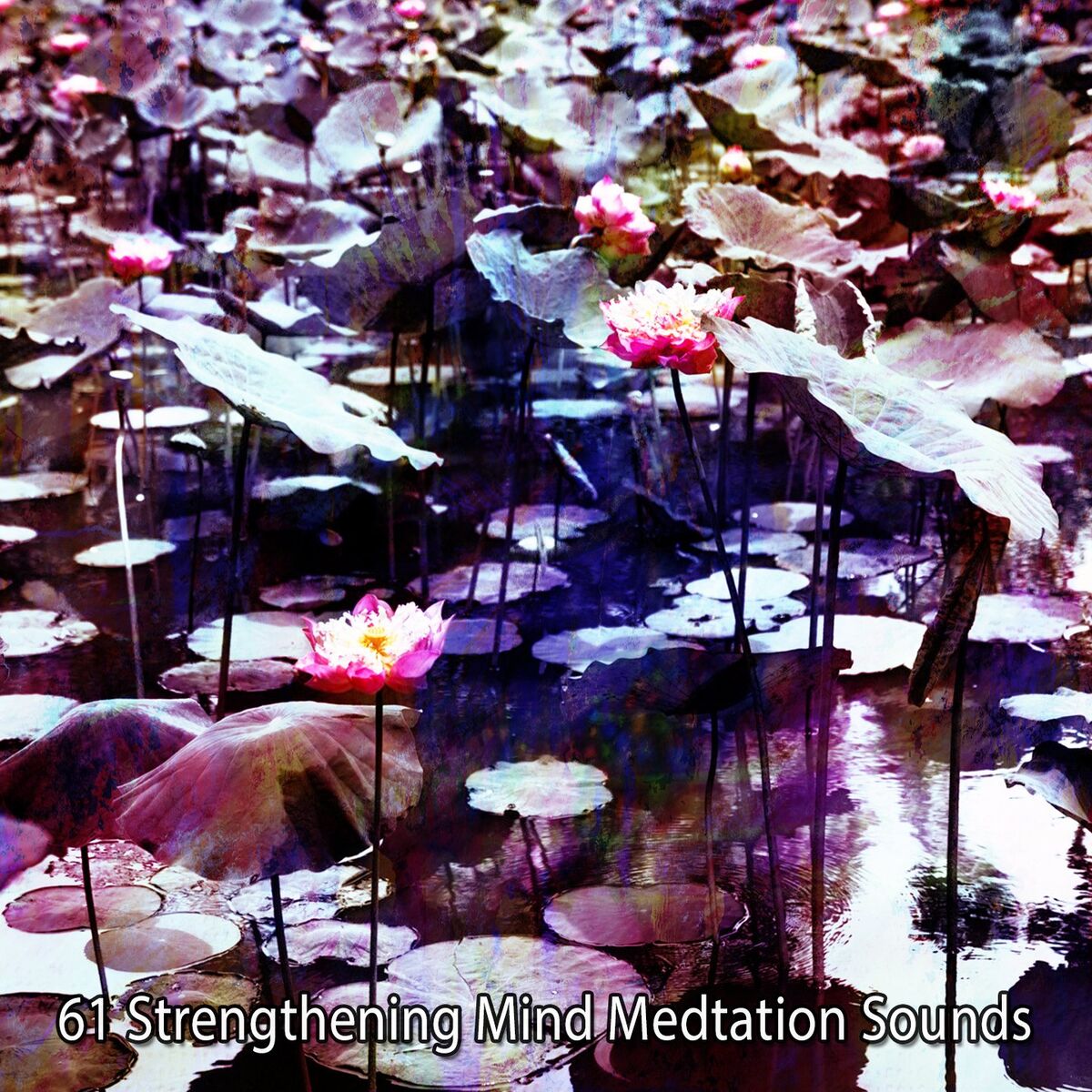 Album cover of 61 Strengthening Mind Medtation Sounds