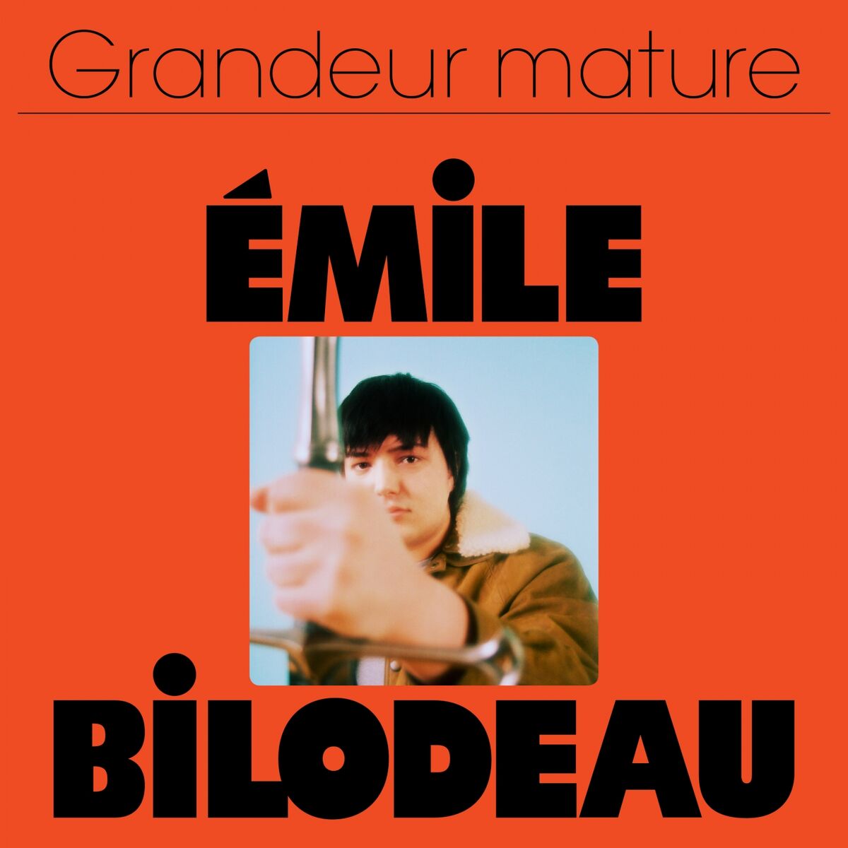 Album cover of Grandeur mature