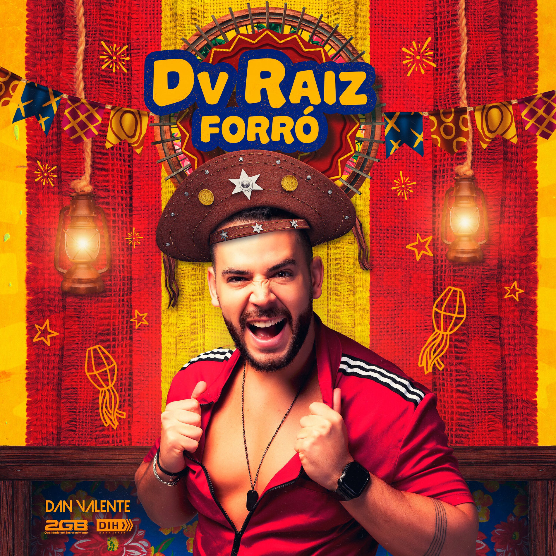 Album cover of Dv Raiz Forró