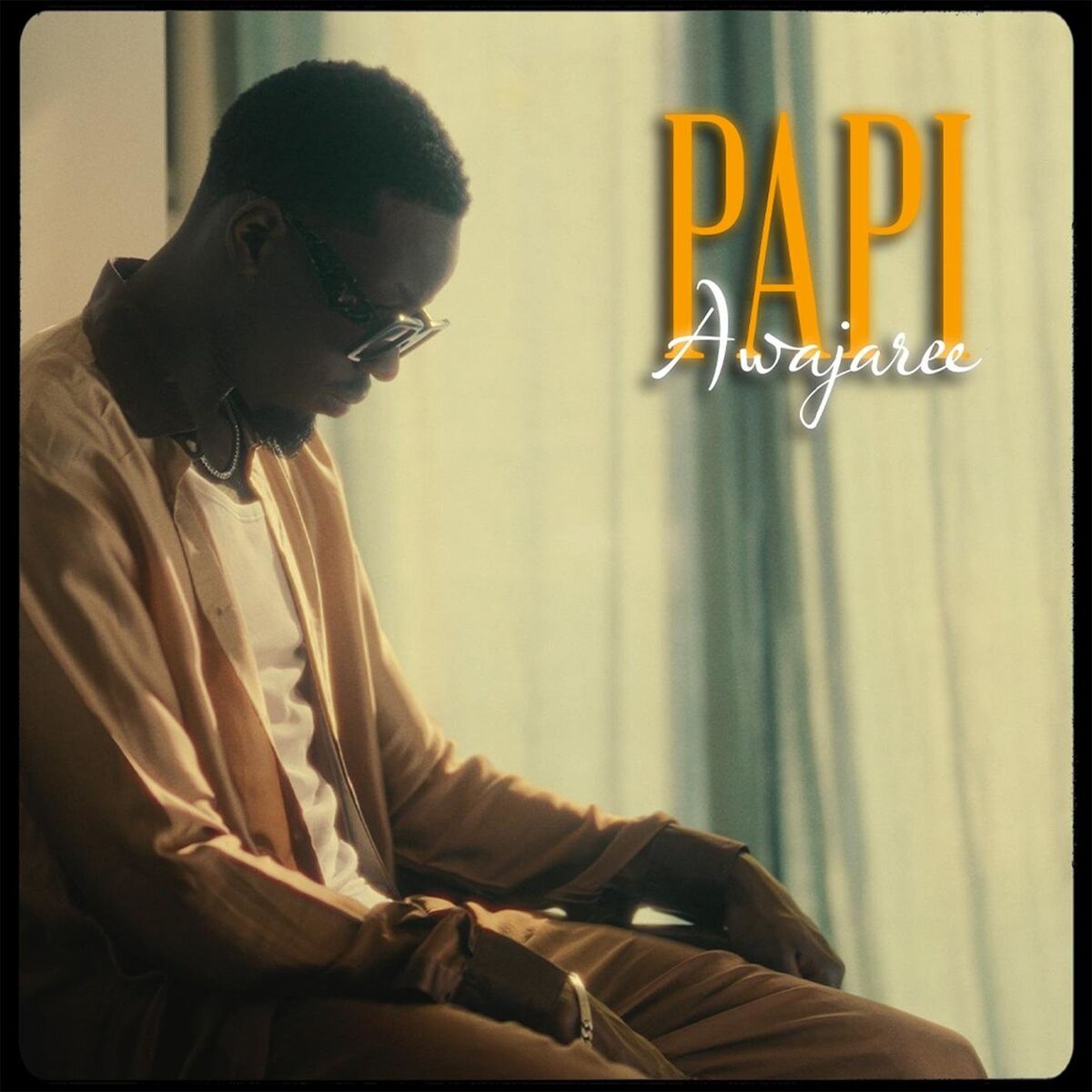 Album cover of Awajaree