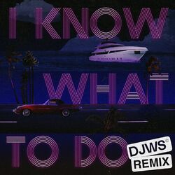 Cover of I Know What To Do - DJWS Remix