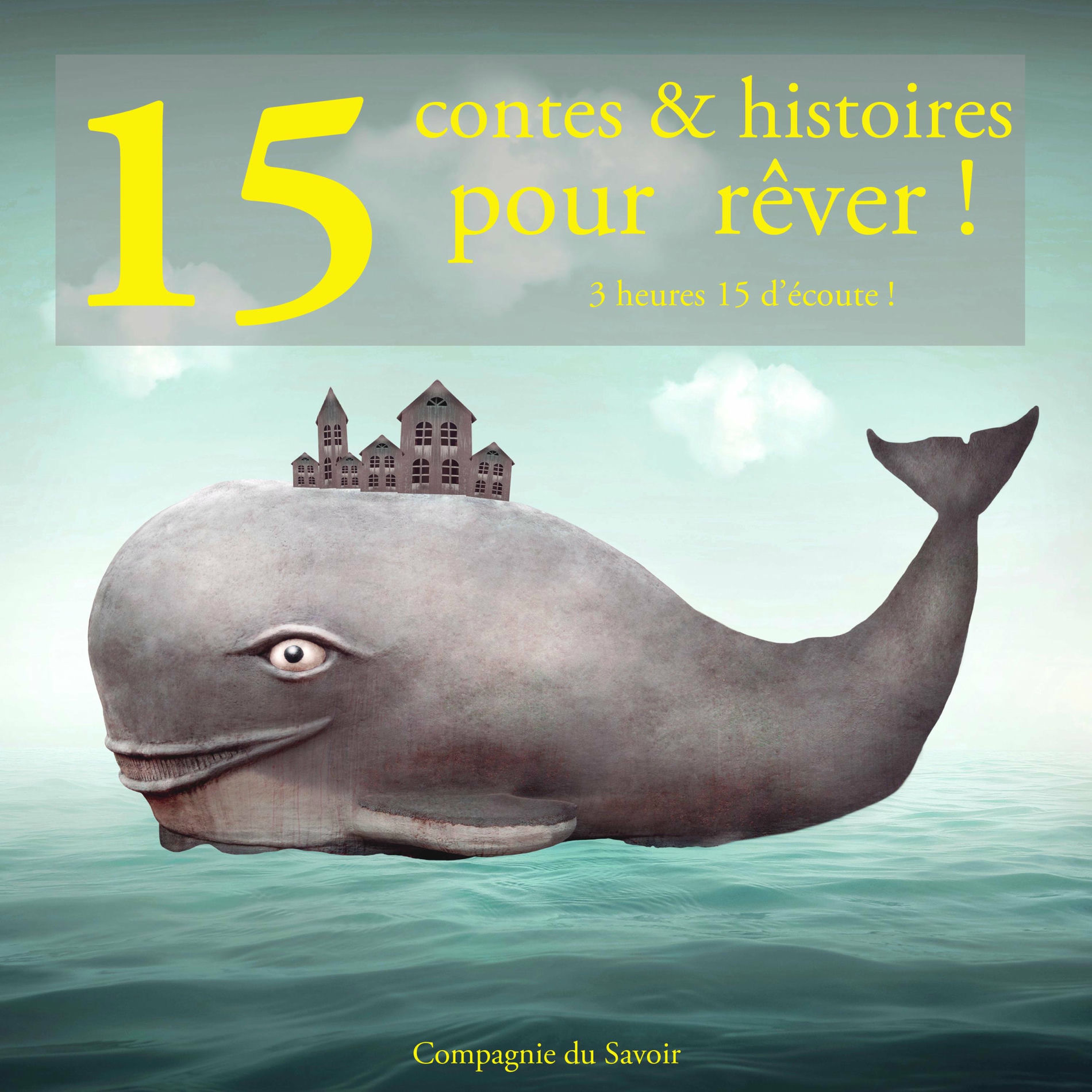 Album cover of 13 contes pour rêver