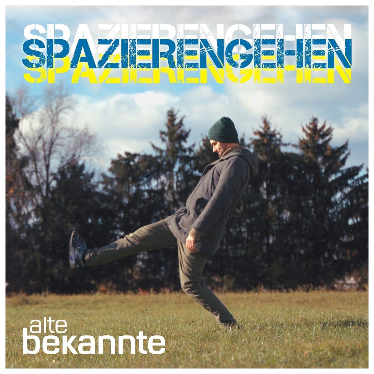 Album cover of Spazierengehen