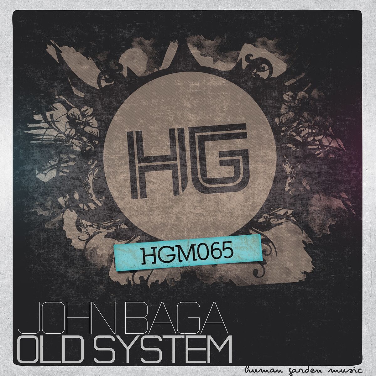 Album cover of Old System