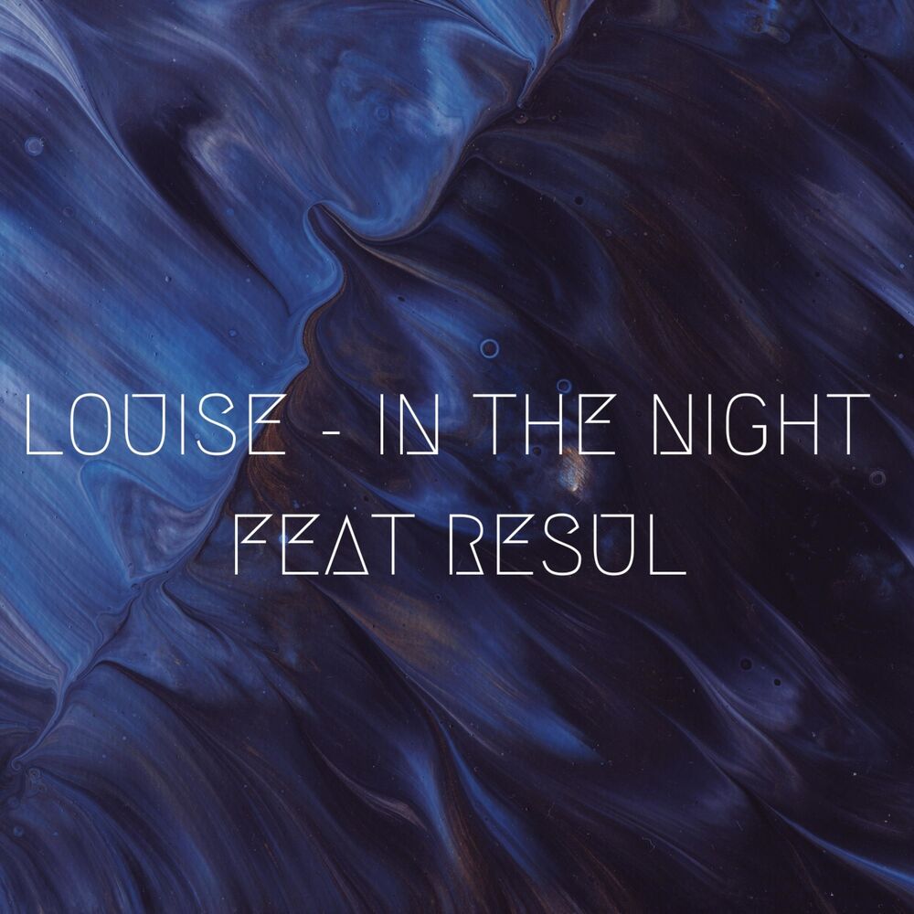 Picture of IN THE NIGHT (feat. RESUL)