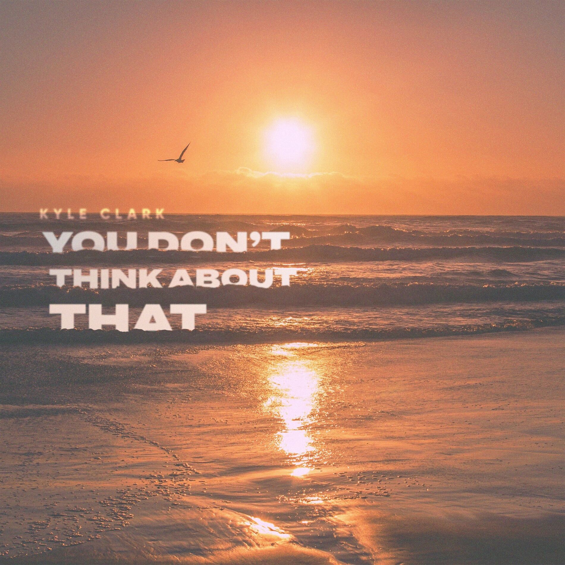 Album cover of You Don't Think About That