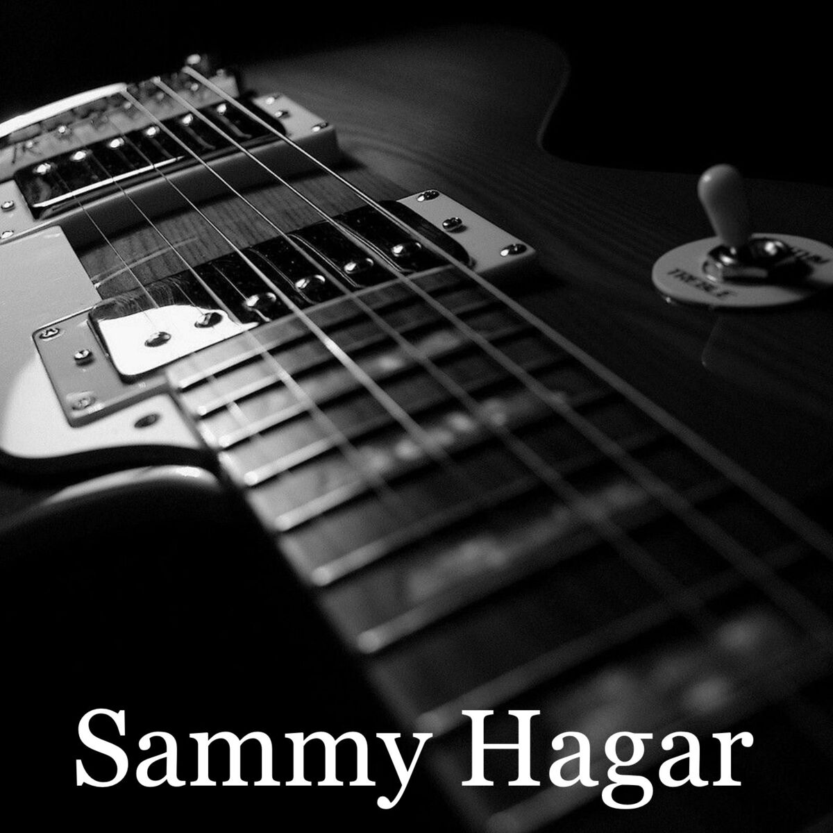 Album cover of Sammy Hagar - FM Broadcast The Record Plant Sausalito April 1973.