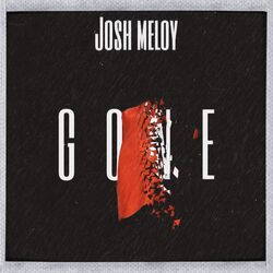 Cover of Gone