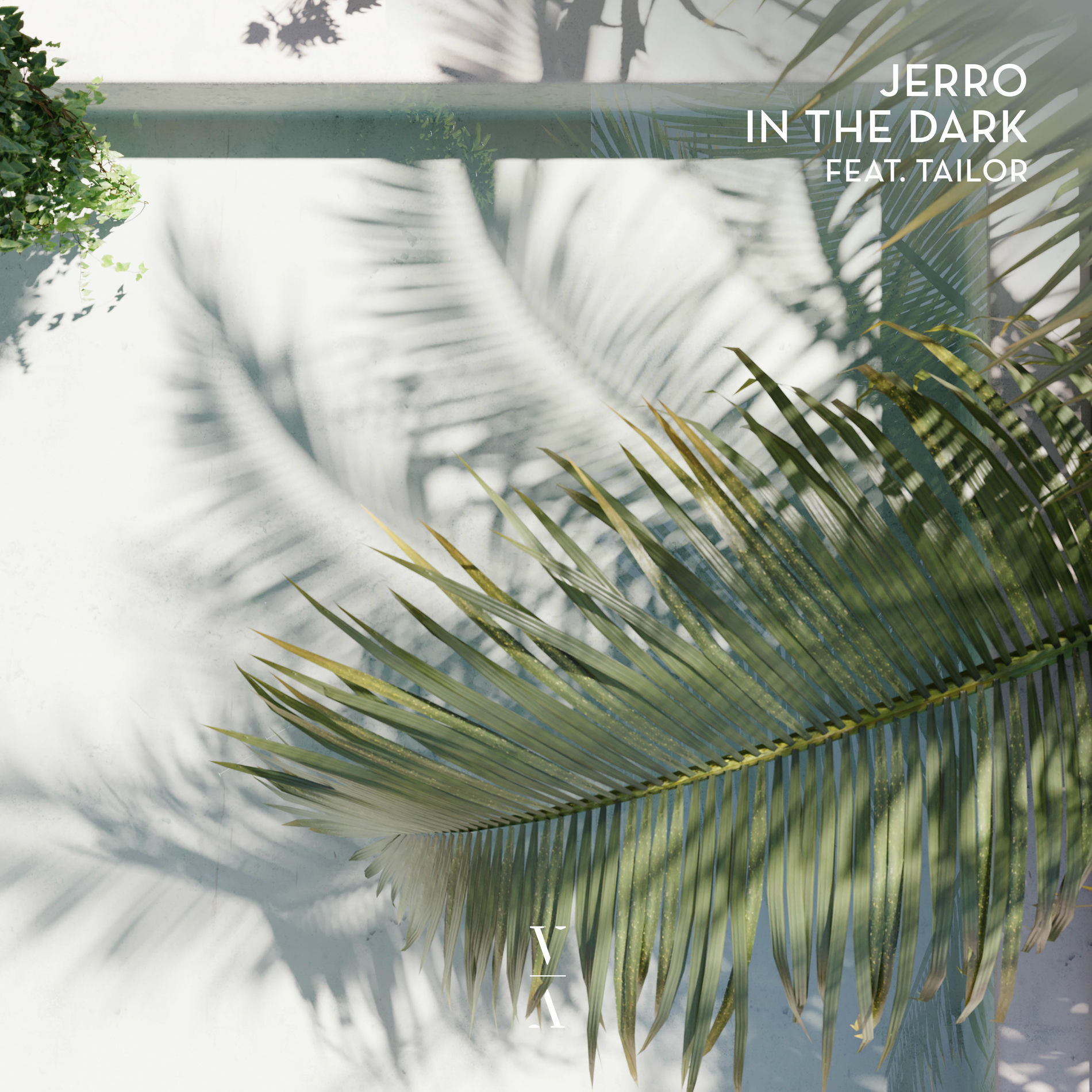 Album cover of In The Dark