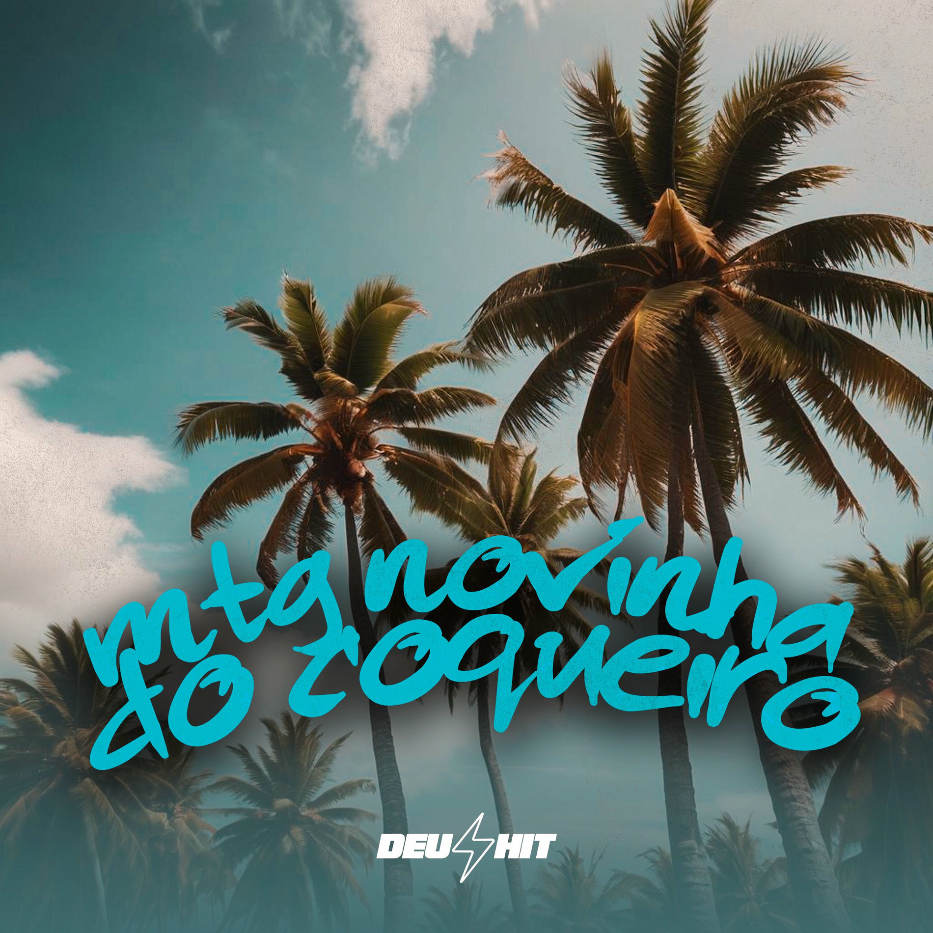 Album cover of Mtg Novinha do Coqueiro