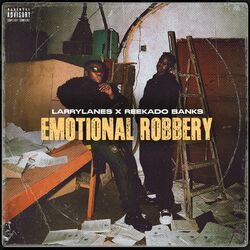 Cover of Emotional Robbery