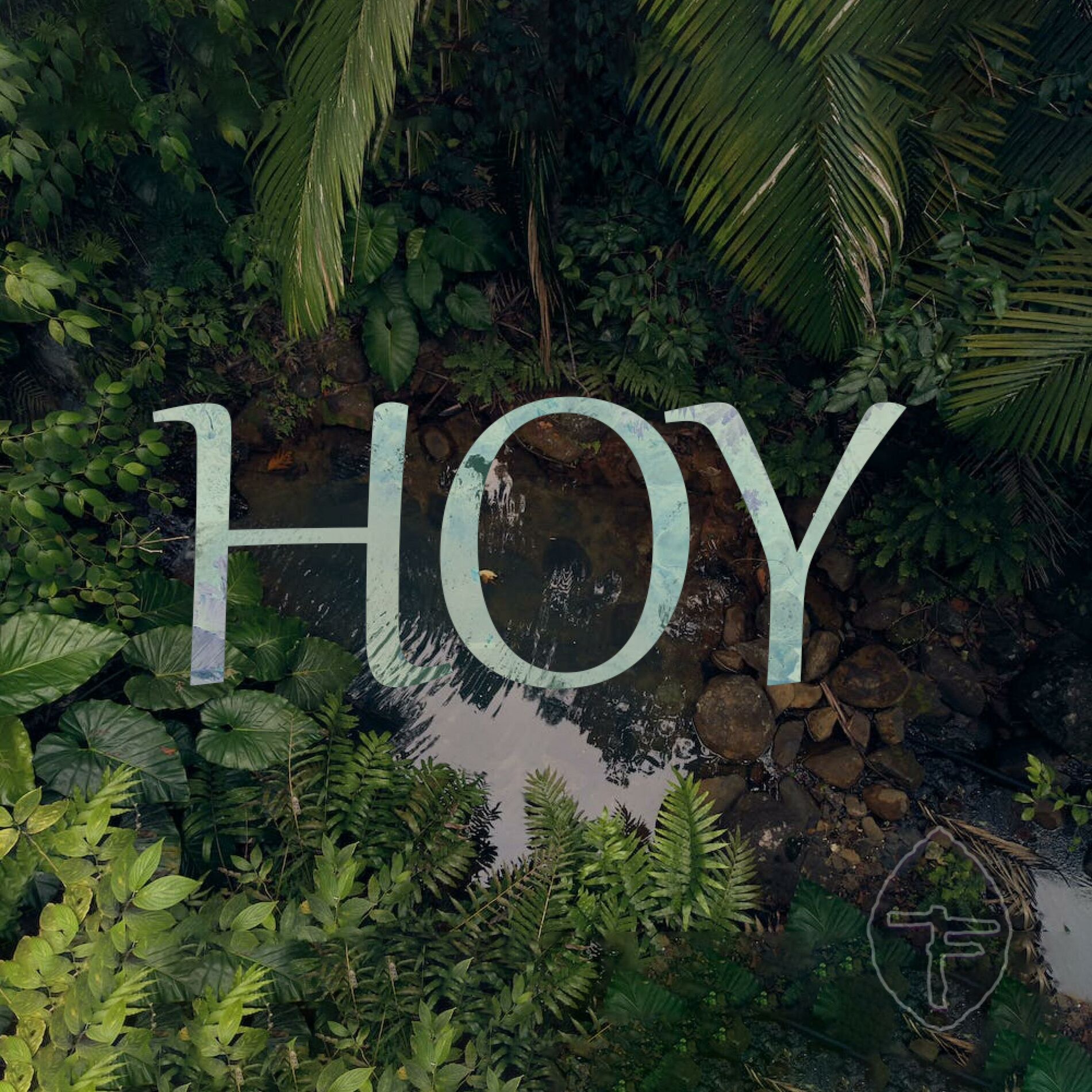 Album cover of Hoy