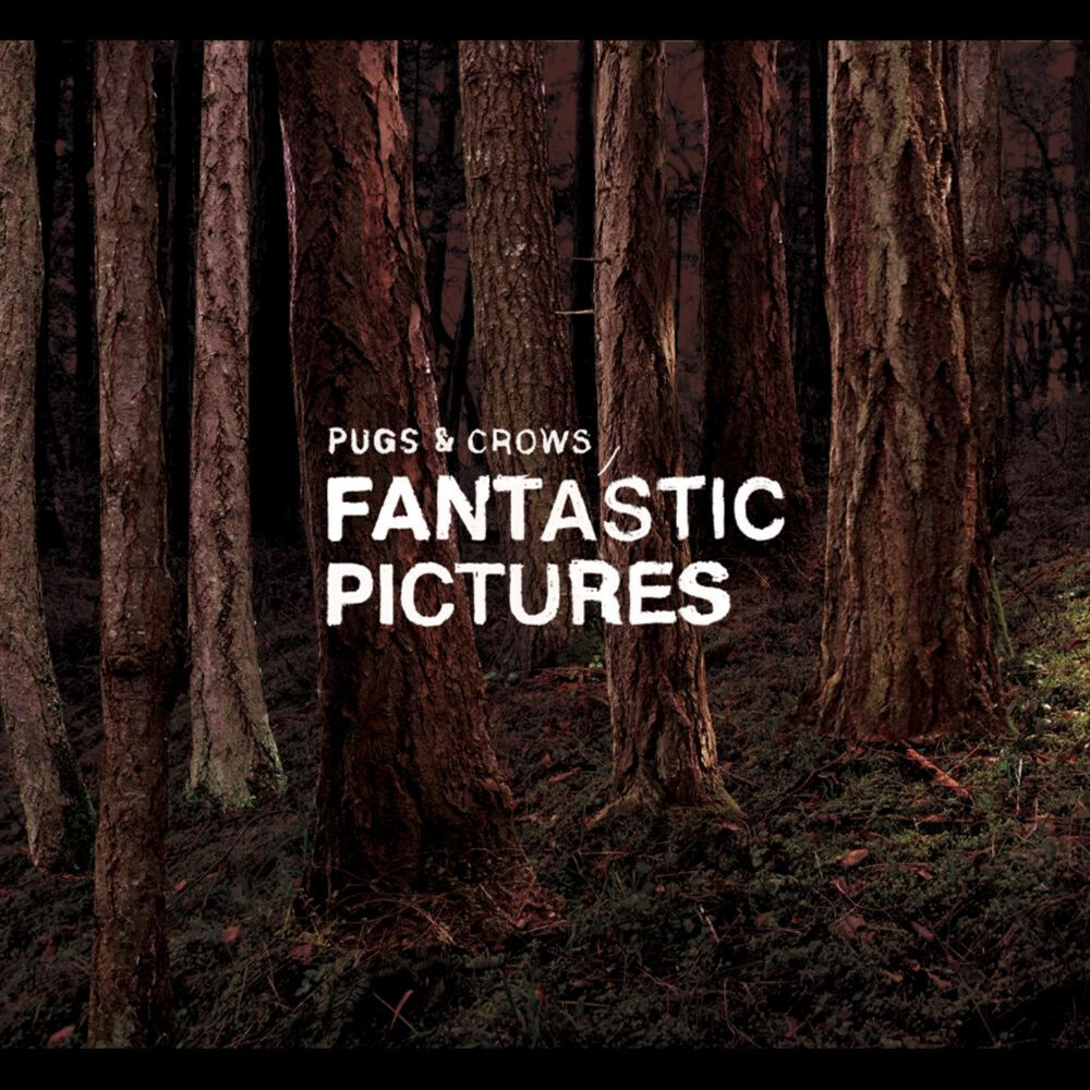 Picture of Fantastic Pictures