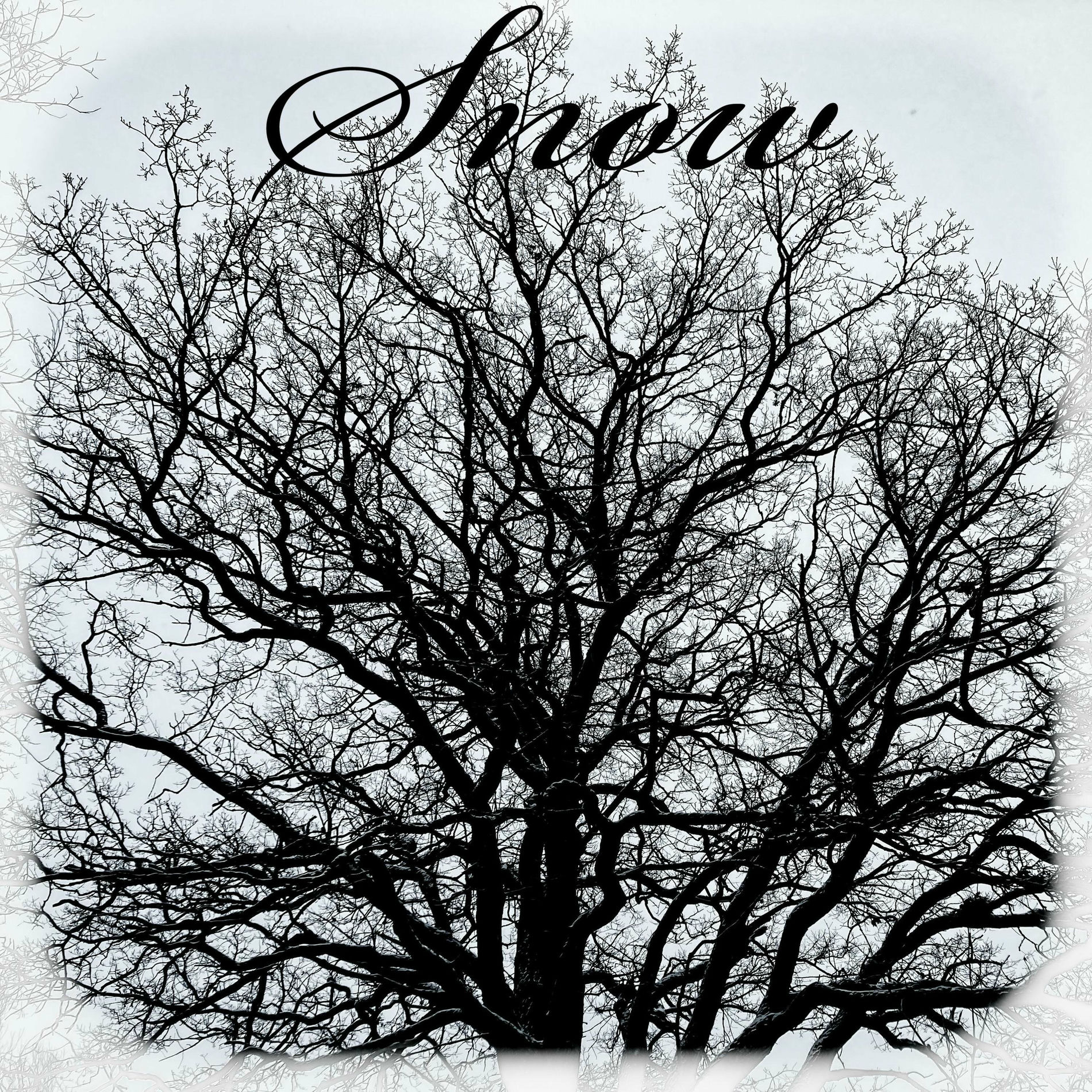 Album cover of Snow
