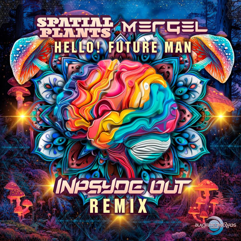 Picture of Hello! Future Man (Inpsyde out Remix)