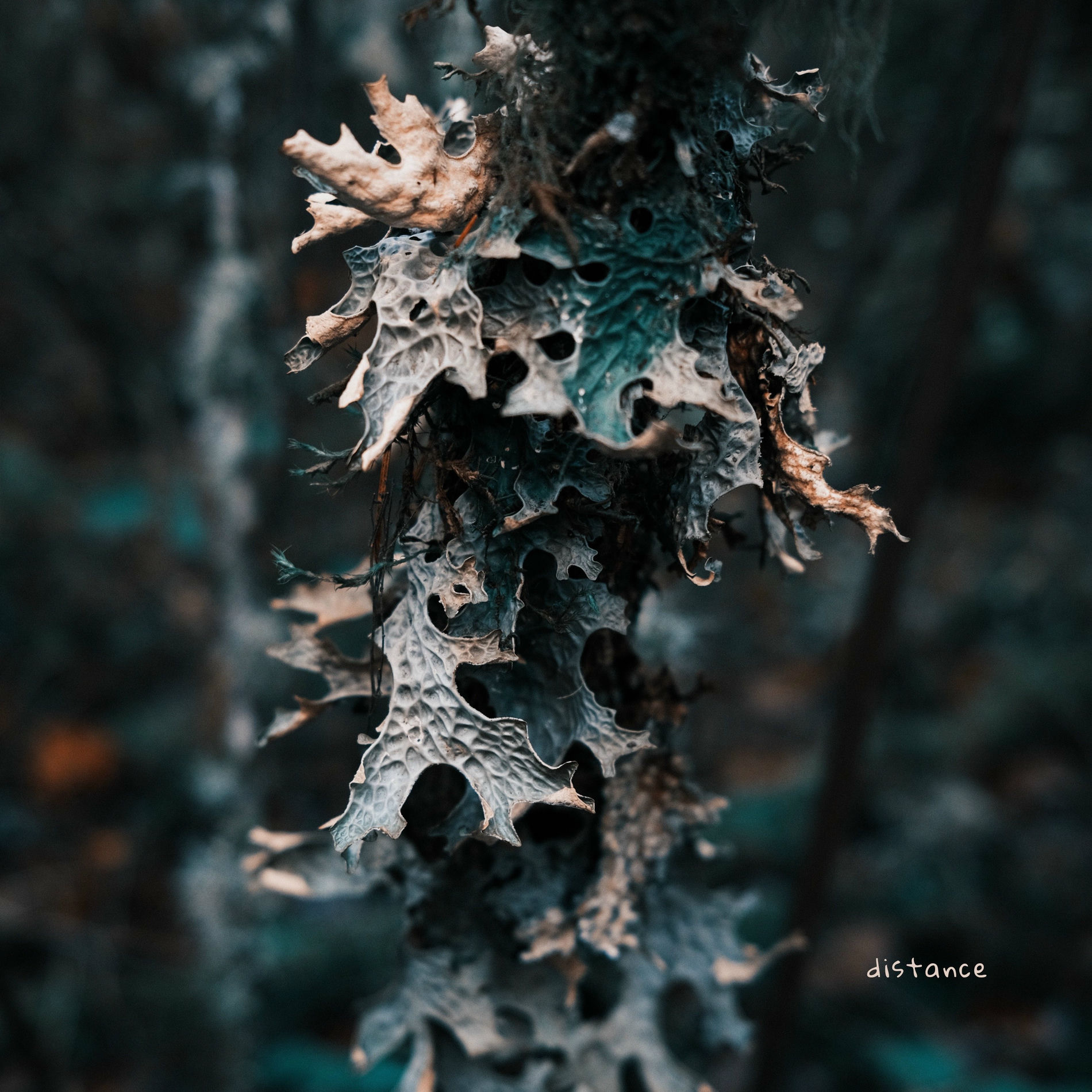 Album cover of Distance