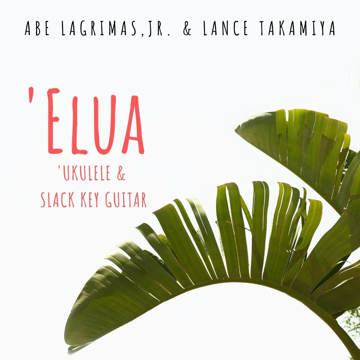 Album cover of Elua: Ukulele & Slack Key Guitar