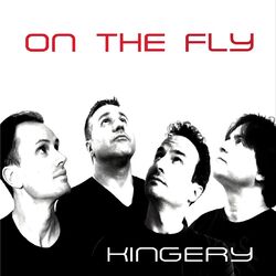 Cover of On the Fly