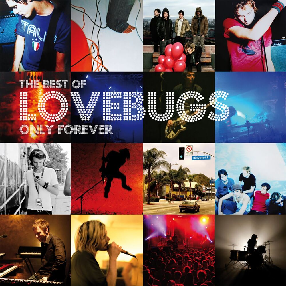 Picture of Onyl Forever - The Best of Lovebugs