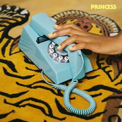 Cover of Princess