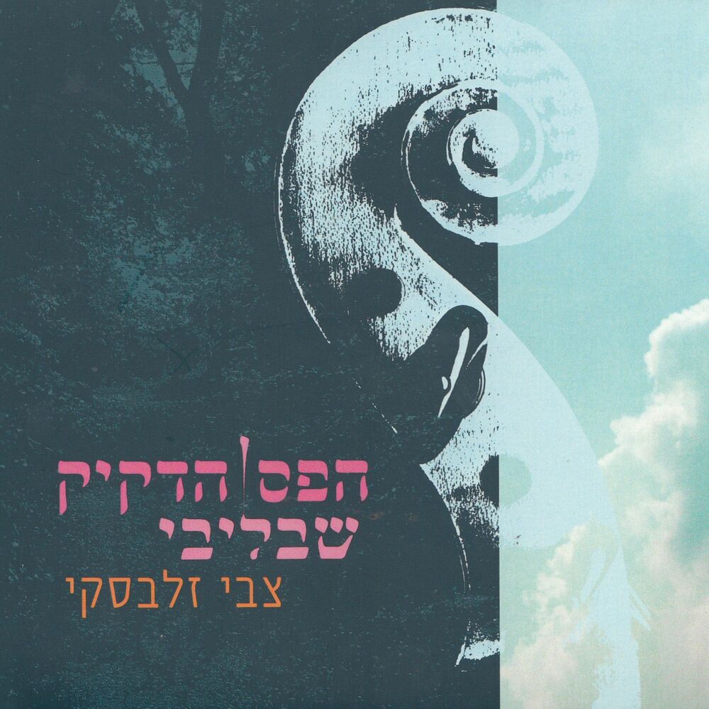 Picture of הפס הדקיק שבליבי