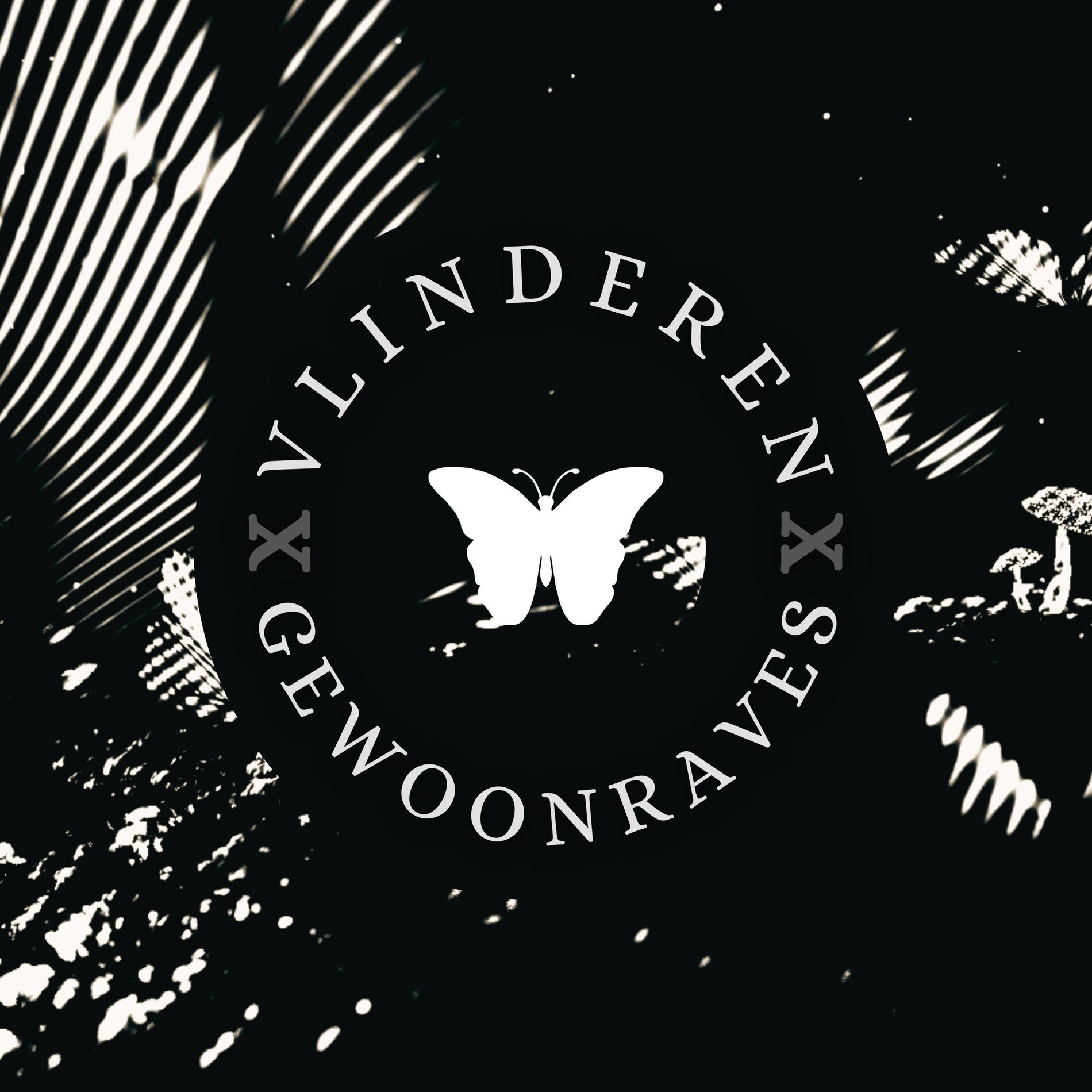 Album cover of Vlinderen