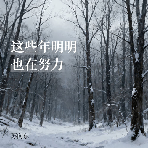 这些年明明也在努力