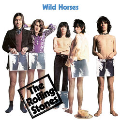 Cover of Wild Horses (Acoustic Version)