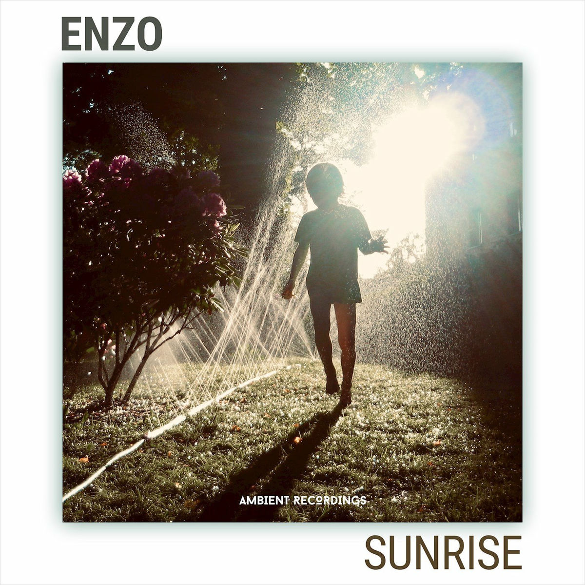 Album cover of Sunrise