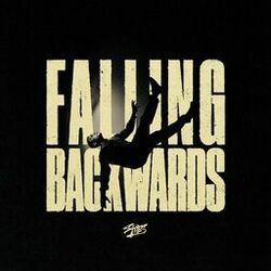 Cover of Falling Backwards