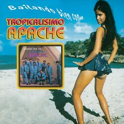Cover of Bailando Bien Con...