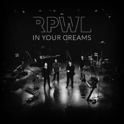 Cover of In Your Dreams (Radio Version)
